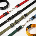 LED Light-Up Dog Collar — USB Rechargeable