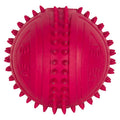 Paw-Print Rubber Chew Ball