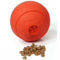 Treat-Dispensing Chew Ball
