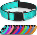 Reflective Padded Dog Collar