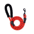 Heavy-Duty Nylon Dog Leash (5ft)