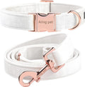 Solid-Color Collar & Leash Set
