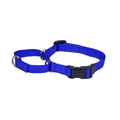 Martingale Training Dog Collar