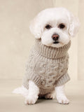 Cable-Knit Dog Sweater