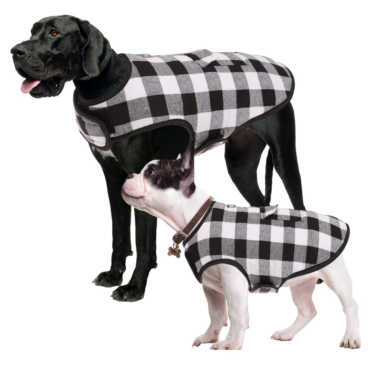 Padded Winter Dog Jacket