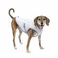 Evaporative Cooling Dog Vest