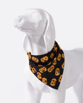 Pumpkin Fall Dog Bandana