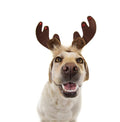 Reindeer Antlers Dog Headband