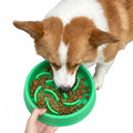 Maze Slow-Feeder Dog Bowl