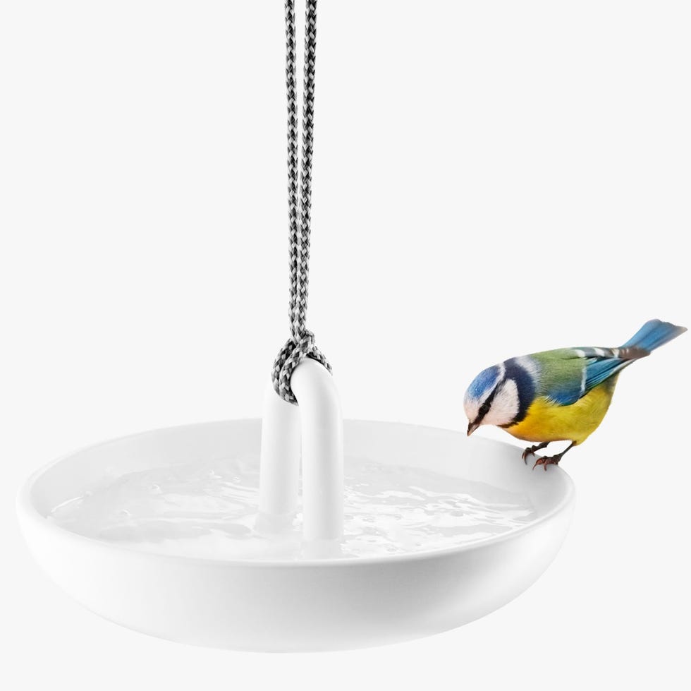 Hanging Bird Bath for Cage