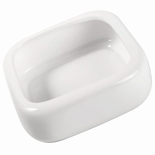 Reptile Food & Water Dish