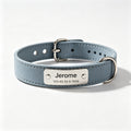 Personalized Engraved ID Dog Collar