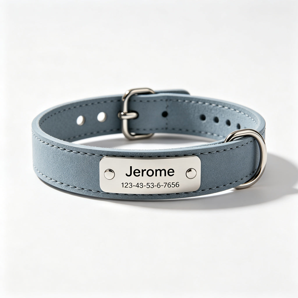 Personalized Engraved ID Dog Collar
