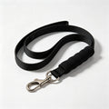 Heavy-Duty Dog Leash — 2m Padded Handle, Traffic Handle